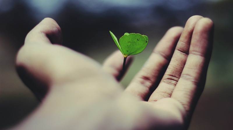 A qui profite le plus le PER Retraite ?